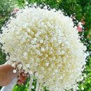 풍요의 계절 이미지