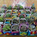 전주대정초등학교 이미지