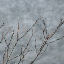 신평저수지 이미지