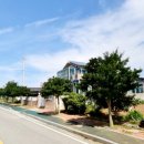 하나로마트사거리 이미지