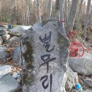 펜션600캠핑장 네이버블로그