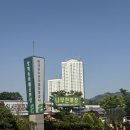 용진유통 | 양재꽃시장 호접란 화분 구매 후기 | 상견례 선물, 여기서 샀어요.