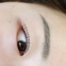 라델라 | 백석 속눈썹펌 여긴 찐이다!! 거의 2달 유지하고 또 다녀온 델라뷰티