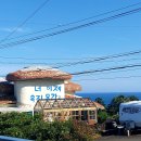 조안베어뮤지엄 이미지