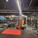 근육발전소 이미지