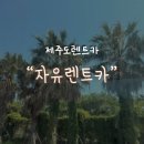 자유카 | 제주도 여행, 자유렌트카로 더 편하게! / 내돈내산 리얼 이용후기