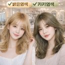 모모염색방