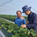 함평센터-12 이미지