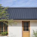 스테이 띠앗 이미지