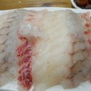 썰라요 꿀라요 이미지