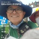 평화누리길 3코스 한강철책길 이미지