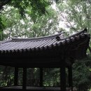 춘 문 티스토리