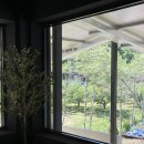 바이서유 이미지