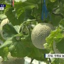 농촌테마파크_R 이미지