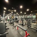 엘바디핏 이미지