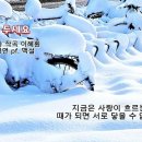 10강 응제왕 이미지