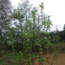 남구-038 이미지