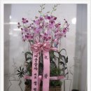 대웅상사 이미지