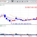 소식돈주 이미지