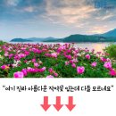 5월 여행으로 꼭 가볼만한 전라남도 힐링 산책길 4곳 이미지