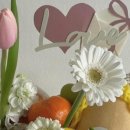 프루미프룻 이미지