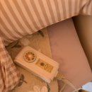 GS25제천신월점 | 봄에 찾아간 청풍 월드니스 글램핑 “태백” 후기