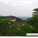 푸른솔조경