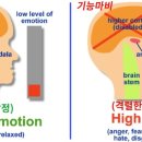 미미아트센터학원