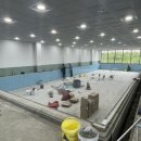 스위밍몬스터 이미지