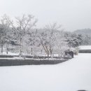 바다향기로 이미지