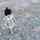 북캠프지오 | 거제 북 캠프지오 :: 거제여행 / 거제 글램핑 / 낭만 글램핑 / 목살무제한 글램핑 / 애완견 펜션 / 여름...