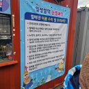일성 | 속초 일성 사계절 눈썰매장 후기