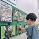 🐼 진짜 판다! 가짜 판다! 이미지