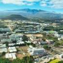 디지털 시민으로 살아남기 이미지