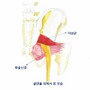 오체한의원 네이버블로그