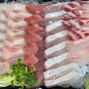 회포마차 이미지