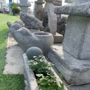 탑갤러리카페