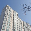 밀양동명중고등학교 이미지