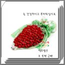 양꽃