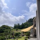 더 바라다(The Barada) | 목포 예쁜 게스트하우스 추천! 6월달 목포에서 2박 3일 잘 쉬다 간 후기-!(the 설레임 게스트하우스)