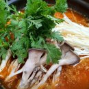 매일낙지 이미지