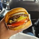 청담아이리스아파트 | 미국 LA 시내 다운타운 일일투어 다녀온 후기 - 그리피스천문대, 할리우드사인