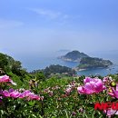 국립공원관리공단 한려해상국립공원동부사무소 이미지