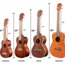 하와이 전통악기 우쿨렐레 | 우쿨렐레(UKULELE)란 무엇인가 - 기타같지만 쉽게 연주하는 하와이 전통 현악기