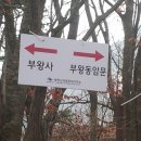 부광사