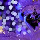 판도라의 숲 이미지