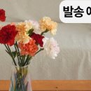 팜팜스토어 이미지