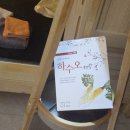 생약초 | 감기에좋은차 피로회복 데일리면역위해 구인당 하수오차마셔요