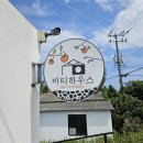 바티하우스 | [바티하우스] 감귤밭이 있는 싱그러운 제주 숙소 추천!