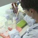 토종돼지농장 이미지